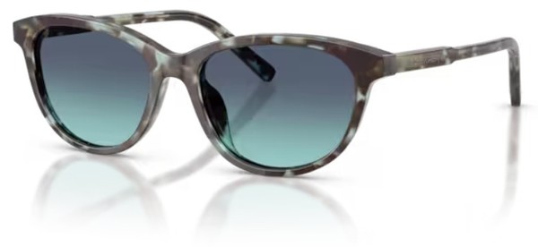 Dolce & Gabbana DX4010 Sunglasses Youth Kids Girl's Cat Eye