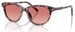 Dolce & Gabbana DX4010 Sunglasses Youth Kids Girl's Cat Eye - Pink Havana/Pink/Red Gradient-3476A5