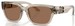 Dolce & Gabbana DX6009 Sunglasses Youth Kids Boy's Rectangle Shape