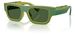 Dolce & Gabbana DX6011 Sunglasses Youth Kids Boy's Rectangle Shape - Green/Dark Green-346771