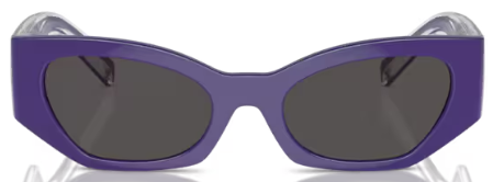  Dolce & Gabbana DX6003 Sunglasses Youth Kids Girl's Cat Eye 
