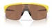 Oakley Resistor OJ9010 Sunglasses Youth Kids Boy's Shield