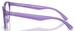 Dolce & Gabbana DX-5096 Eyeglasses Youth Kids Girl's Full Rim Butterfly Shape