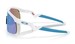 Oakley Resistor OJ9010 Sunglasses Youth Kids Boy's Shield
