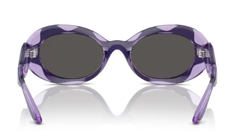  Dolce & Gabbana DX6005 Sunglasses Youth Kids Girl's Oval Shape 