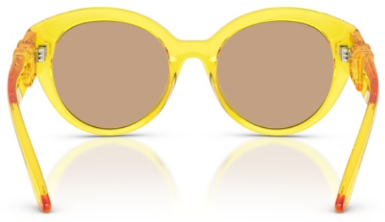  Dolce & Gabbana DX6010 Sunglasses Youth Kids Girl's Butterfly Shape 