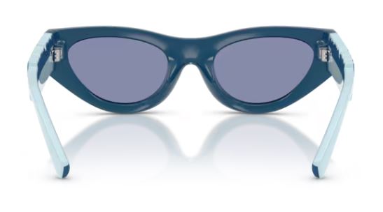  Dolce & Gabbana DX6012 Sunglasses Youth Kids Girl's Cat Eye 