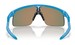 Oakley Resistor OJ9010 Sunglasses Youth Kids Boy's Shield
