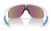 Oakley Resistor OJ9010 Sunglasses Youth Kids Boy's Shield