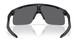 Oakley Resistor OJ9010 Sunglasses Youth Kids Boy's Shield