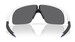 Oakley Resistor OJ9010 Sunglasses Youth Kids Boy's Shield