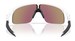 Oakley Resistor OJ9010 Sunglasses Youth Kids Boy's Shield