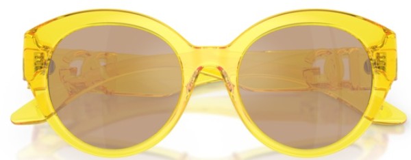  Dolce & Gabbana DX6010 Sunglasses Youth Kids Girl's Butterfly Shape 